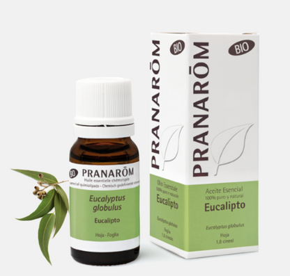 Óleo Essencial Eucalipto | Eucalyptus globulus | BIO | 10ml