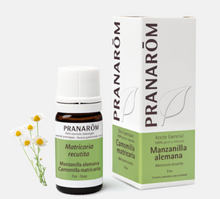 Óleo Essencial Camomila Alemã (Azul) Matricaria recutita 5ml