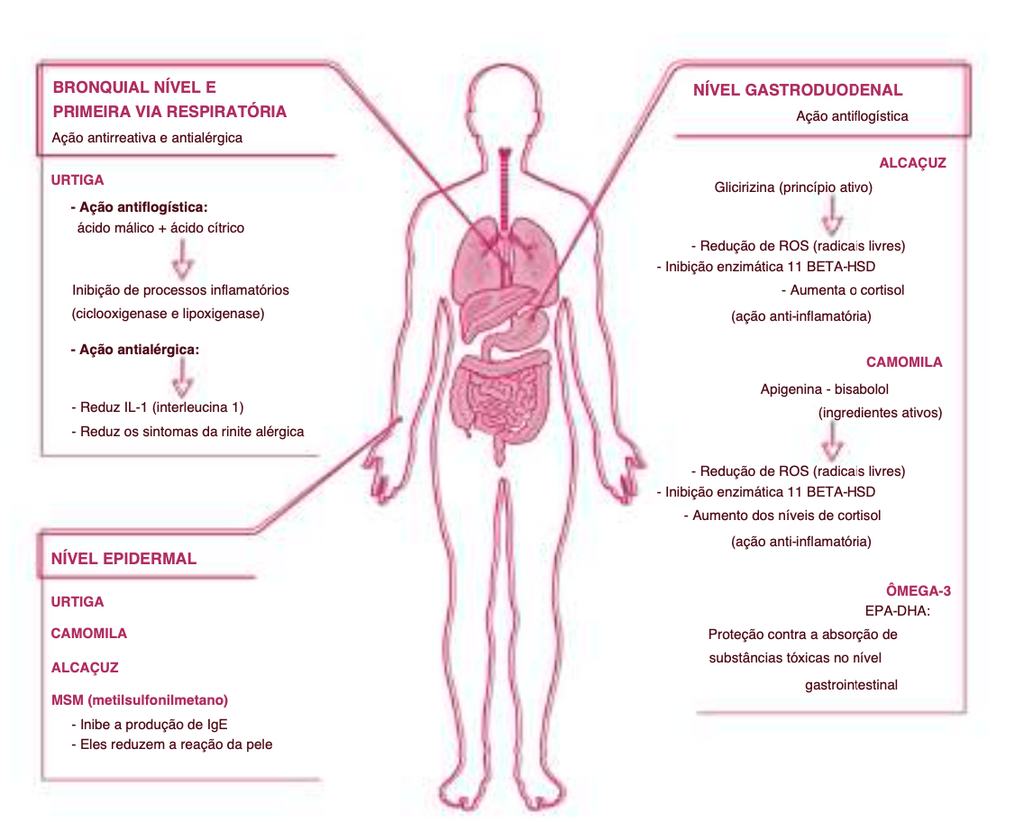 Suplemento Natural - Alergias e Imunidade | ALLERGVIN 60cps
