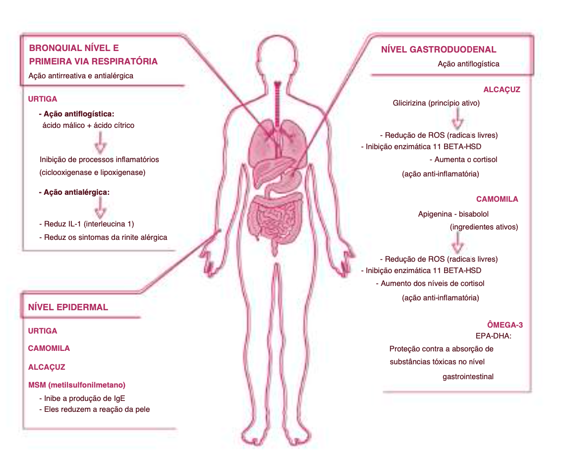 Suplemento Natural - Alergias e Imunidade | ALLERGVIN 60cps .