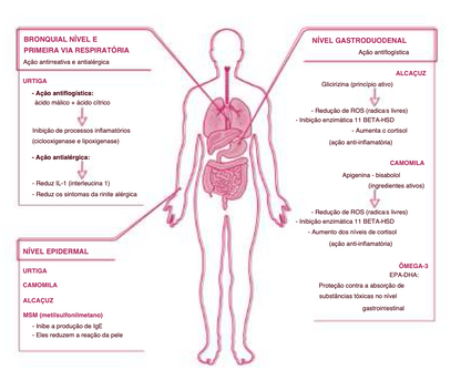 Suplemento Natural - Alergias e Imunidade | ALLERGVIN 60cps .