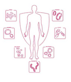 Suplemento Natural - Fadiga e Tensão | ARGENVIN 10ML ***