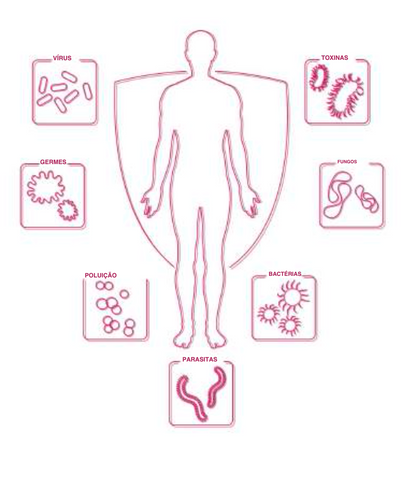 Suplemento Natural - Fadiga e Tensão | ARGENVIN 10ML ***