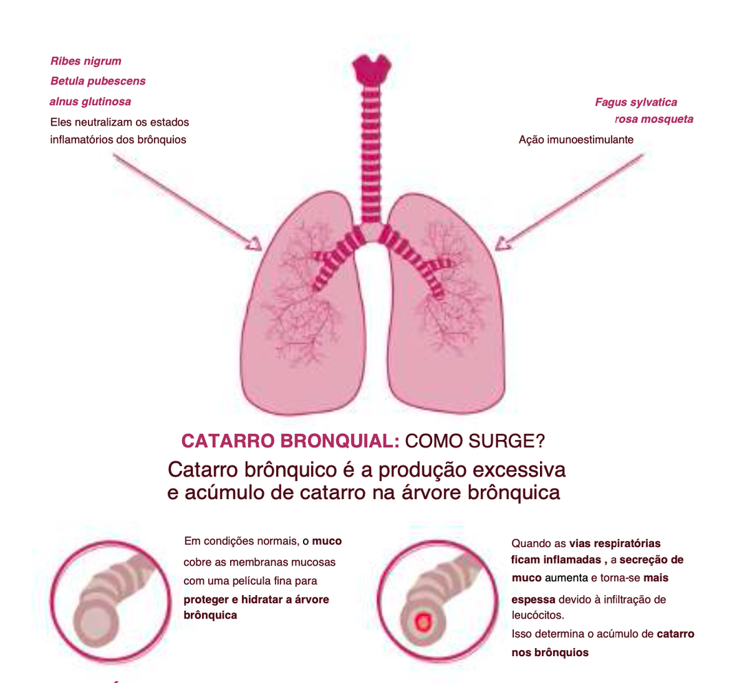 Suplemento Natural - Sistema Respiratório | BRONCOVIN 50ML