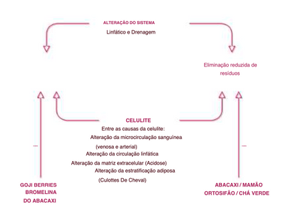 Suplemento Natural - Drenagem e Saciedade | DRENVIN 250ML .