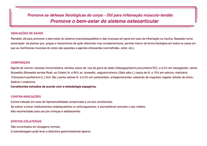 Suplemento Natural - Inflamação Muscular | INFIAVIN 60CPR