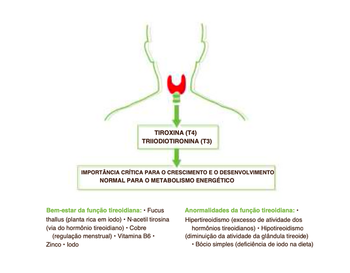 Suplemento Natural - Tiroide | TIROVIN 50ML