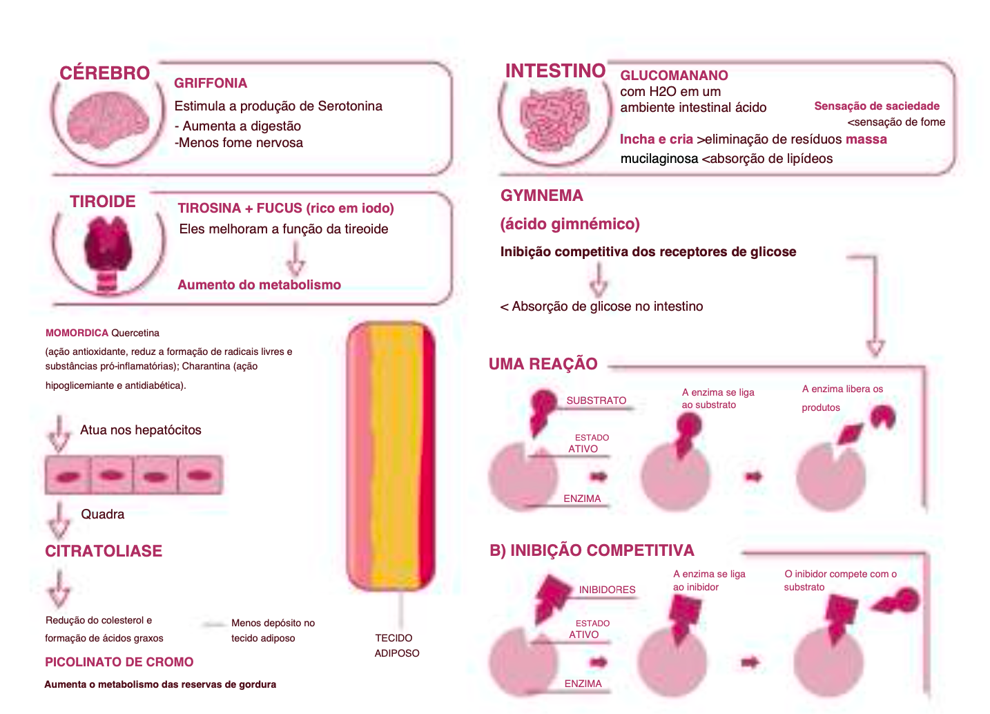 Suplemento Natural - Controlo Peso | CONTROKAL 60cps %