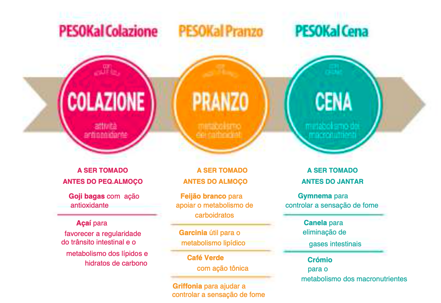 Suplemento Natural: Programa Controlo Peso | PESOKAL 60Cps