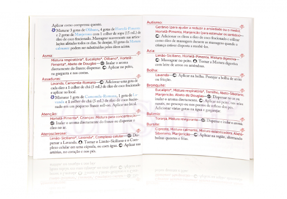 Livro Introdução à Modern Essentials