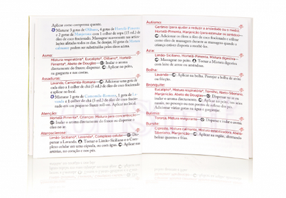 Livro Introdução à Modern Essentials