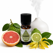 Óleos essenciais para difusor 10ml | Alegria Casa d'Aromaterapia
