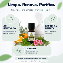 Óleos Essenciais para Difusor 10ml | Purifica Casa d'Aromaterapia