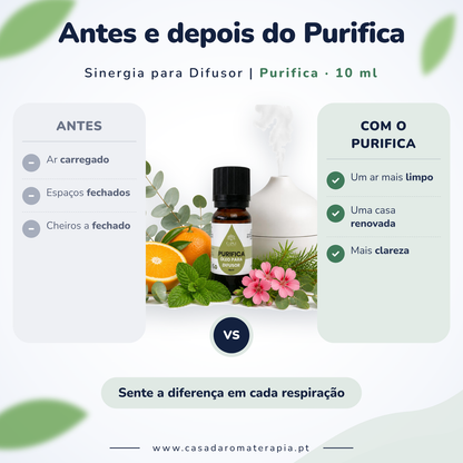 Óleos Essenciais para Difusor 10ml | Purifica Casa d'Aromaterapia