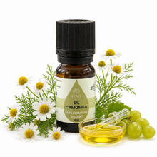 Óleo Essencial de Camomila Romana | Anthemis nobilis | 10ml | Casa d'Aromaterapia | Diluído 5%