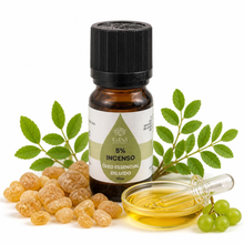 Óleo Essencial de Incenso | Boswellia carterii | 10ml | Casa d'Aromaterapia | Diluído 5%