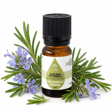 Óleo Essencial de Alecrim | Rosmarinus officinalis | qt. Cineol | BIO | 10ml | Casa d'Aromaterapia