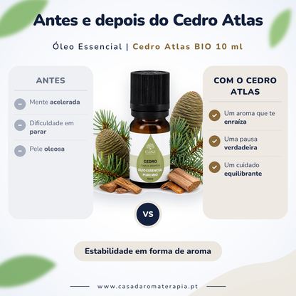 Óleo Essencial de Cedro Atlas | BIO | Casa d'Aromaterapia