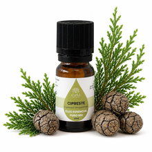 Óleo Essencial de Cipreste | Cupressus sempervirens | BIO | 10ml | Casa d'Aromaterapia