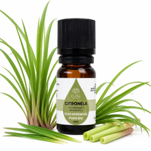Óleo Essencial de Citronela | Cymbopogon winterianus | BIO | 10ml | Casa d'Aromaterapia