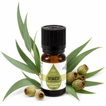Óleo Essencial de Eucalipto | Eucalyptus globulus | BIO | 10ml | Casa d'Aromaterapia
