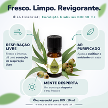 Óleo Essencial de Eucalipto | Eucalyptus globulus | BIO | 10ml | Casa d'Aromaterapia