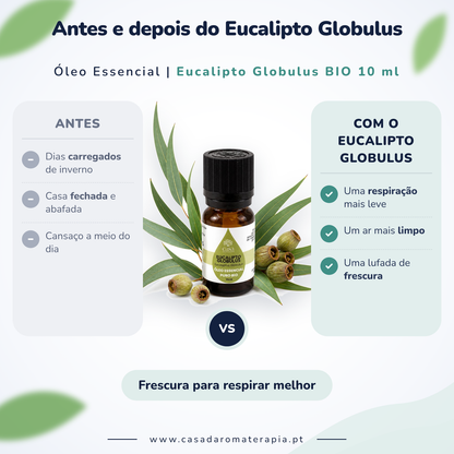 Óleo Essencial de Eucalipto | Eucalyptus globulus | BIO | 10ml | Casa d'Aromaterapia