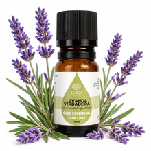 Óleo Essencial de Lavanda | Lavandula angustifolia | BIO | 10ml | Casa d'Aromaterapia