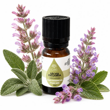 Óleo Essencial de Sálvia Esclareia | Salvia sclarea | BIO | 10ml | Casa d'Aromaterapia