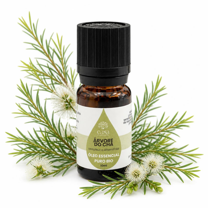 Óleo Essencial de Árvore do Chá (Tea tree) | Melaleuca alternifolia | BIO | 10ml | Casa d'Aromaterapia