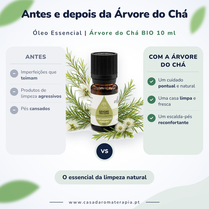 Óleo Essencial de Árvore do Chá (Tea tree) | Melaleuca alternifolia | BIO | 10ml | Casa d'Aromaterapia