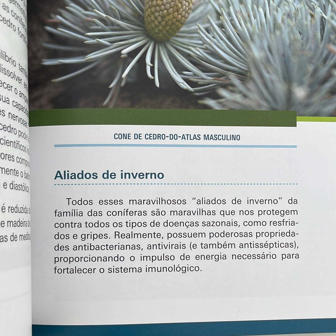 Livro Ensaios sobre aromaterapia holística | Dr Malte Hozzel