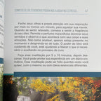 Book Essays on Holistic Aromatherapy 