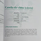 Big Book of Aromatherapy