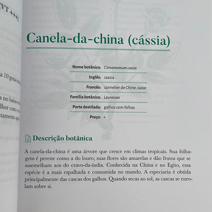 Livro Grande Manual da Aromaterapia | Dominique Baudoux