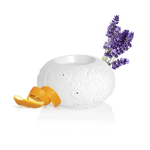 Difusor Calvi de Calor Suave .