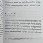 Aromatherapy for Everyone book