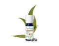 Óleo Essencial de Eucalipto Globulus 10ml bio | Eucalyptus globulus