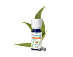 Óleo Essencial de Eucalipto Globulus 10ml bio | Eucalyptus globulus