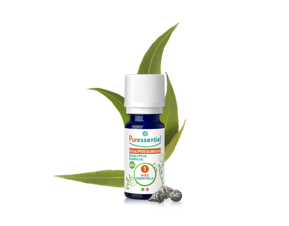 Óleo Essencial de Eucalipto Globulus 10ml bio | Eucalyptus globulus
