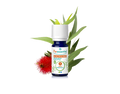 Óleo Essencial de Eucalipto Radiata 10ml bio | Eucalyptus radiata