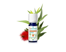 Óleo Essencial de Eucalipto Radiata 10ml bio | Eucalyptus radiata