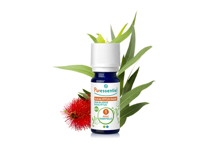Óleo Essencial de Eucalipto Radiata 10ml bio | Eucalyptus radiata