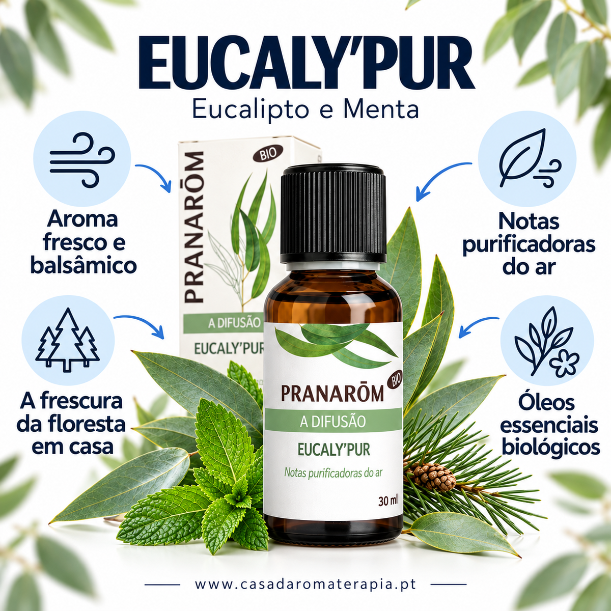 Óleos essenciais para difusor 30ml bio | Eucaly'Pur Pranarôm
