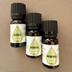Kit Difusor + 3 Fórmulas Aromáticas