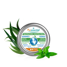 Gomas Hortelã Eucalipto 45g