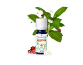 Óleo Essencial de Gualtéria 10ml bio | Gaultheria fragrantissima