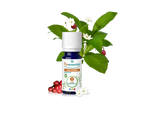 Óleo Essencial de Gualtéria 10ml bio | Gaultheria fragrantissima