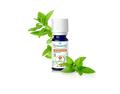 Óleo Essencial de Hortelã-Pimenta 10 ml bio | Mentha X piperita