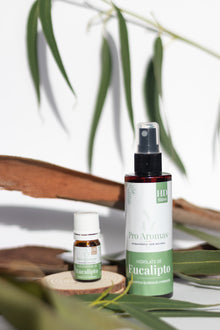 Pack Eucalipto Pro Aromas  BIO 100% Português – ProAromas